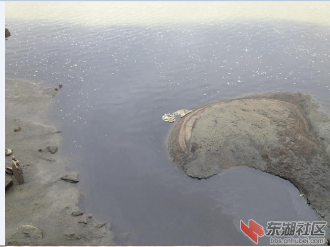 QQ图片20150806091844.png