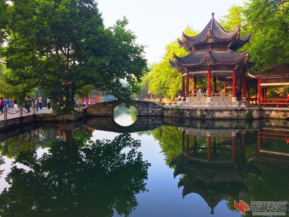 QQ图片20150807204316.jpg