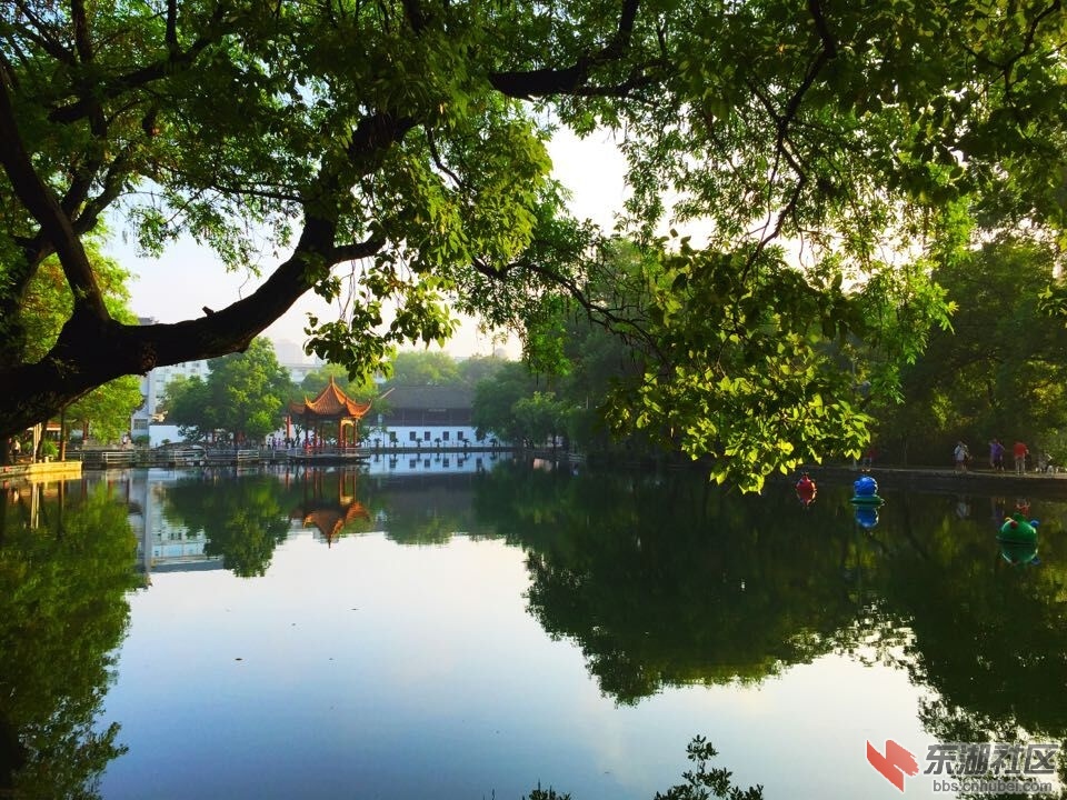 QQ图片20150807204340.jpg