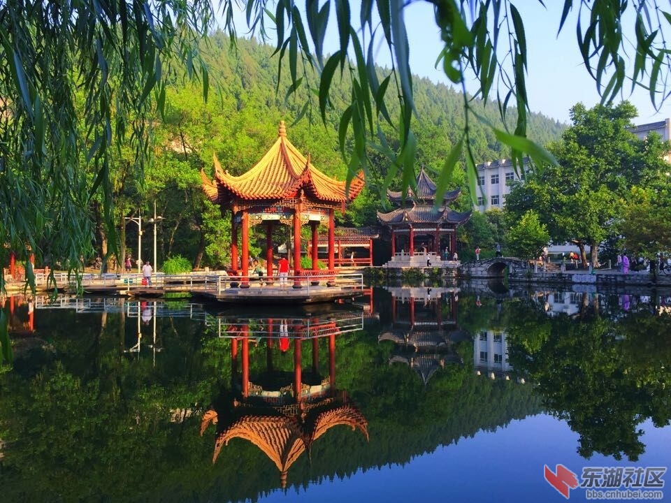 QQ图片20150807204347.jpg