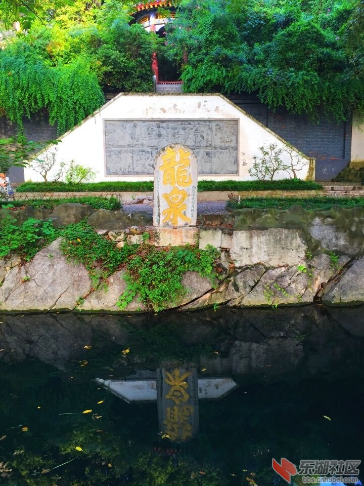 QQ图片20150807204322.jpg