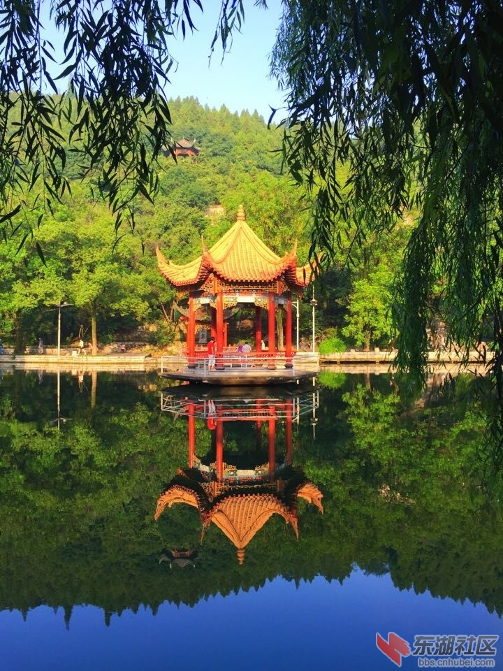 QQ图片20150807204404.jpg