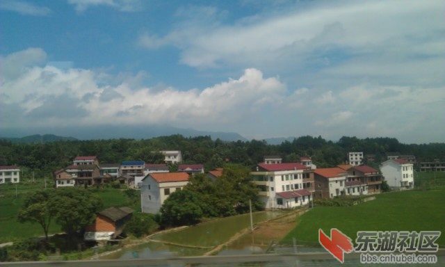 IMAG0264.jpg