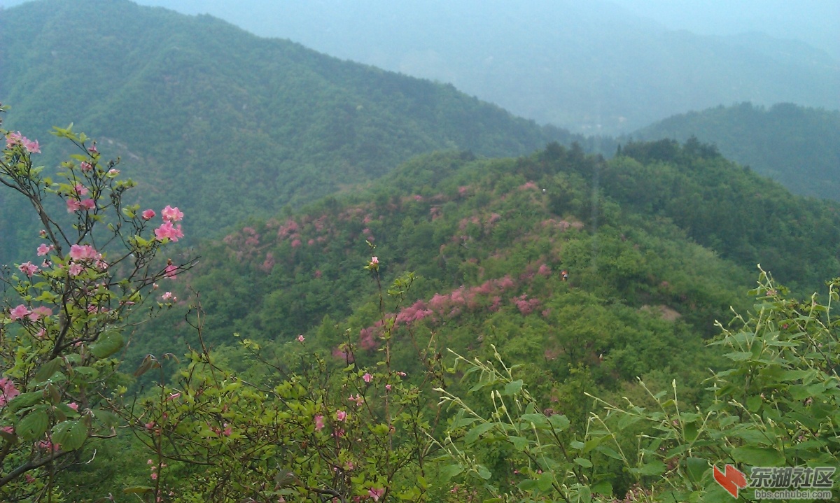 IMAG0172.jpg