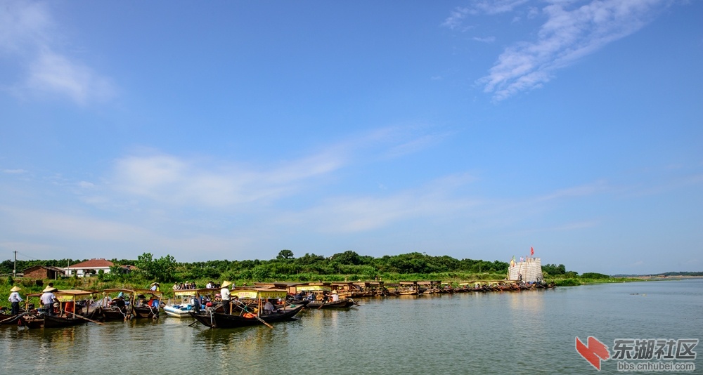 DSC_1817_副本.jpg