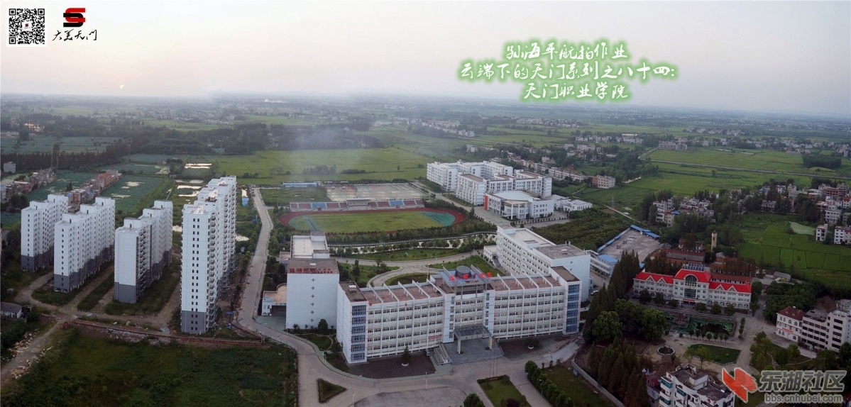 ZY02.jpg
