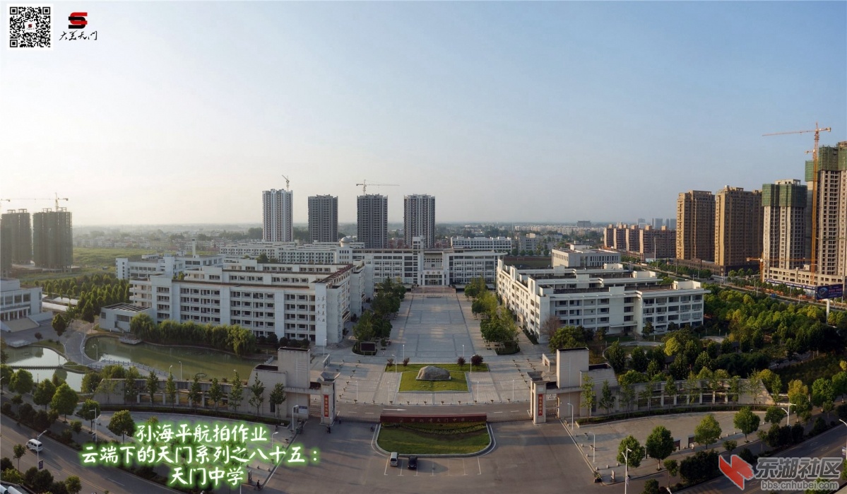 tz01.jpg