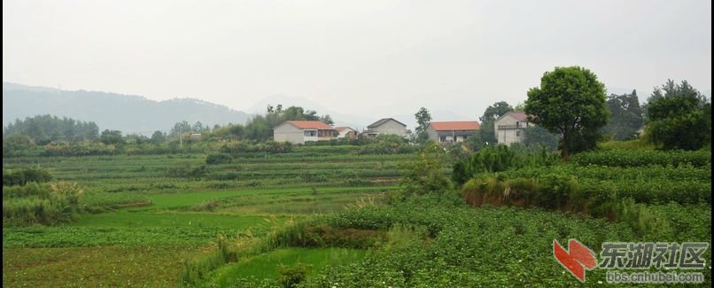 记忆梅川，记住乡愁系列报道之七十阮廊村