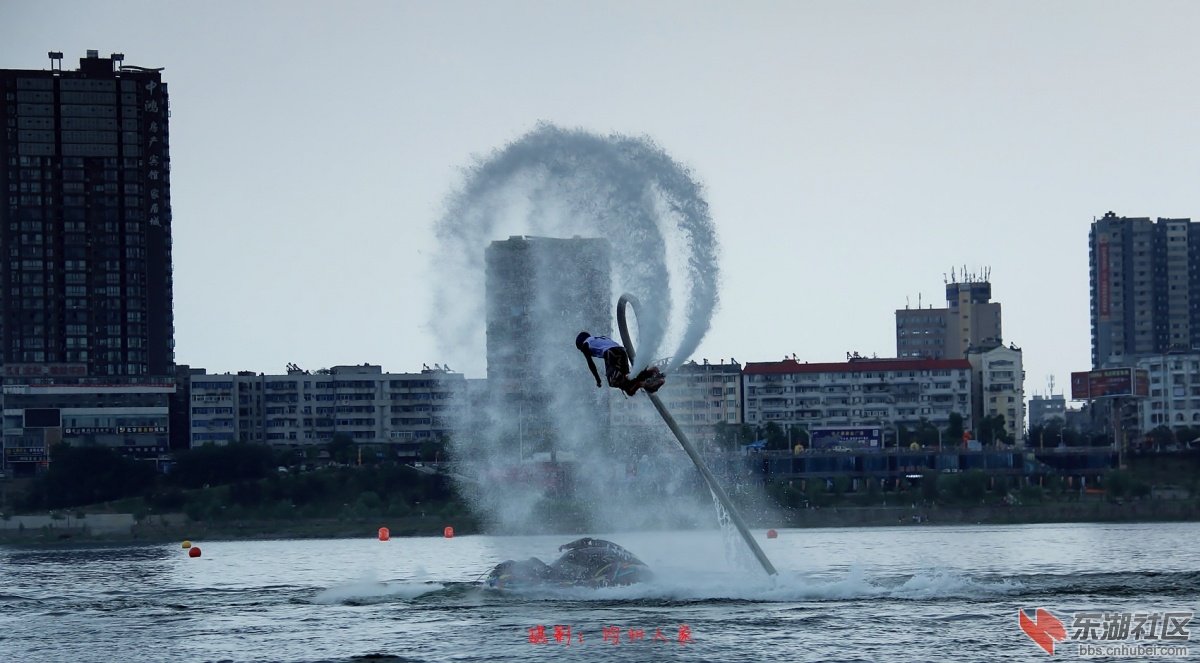 5590.jpg