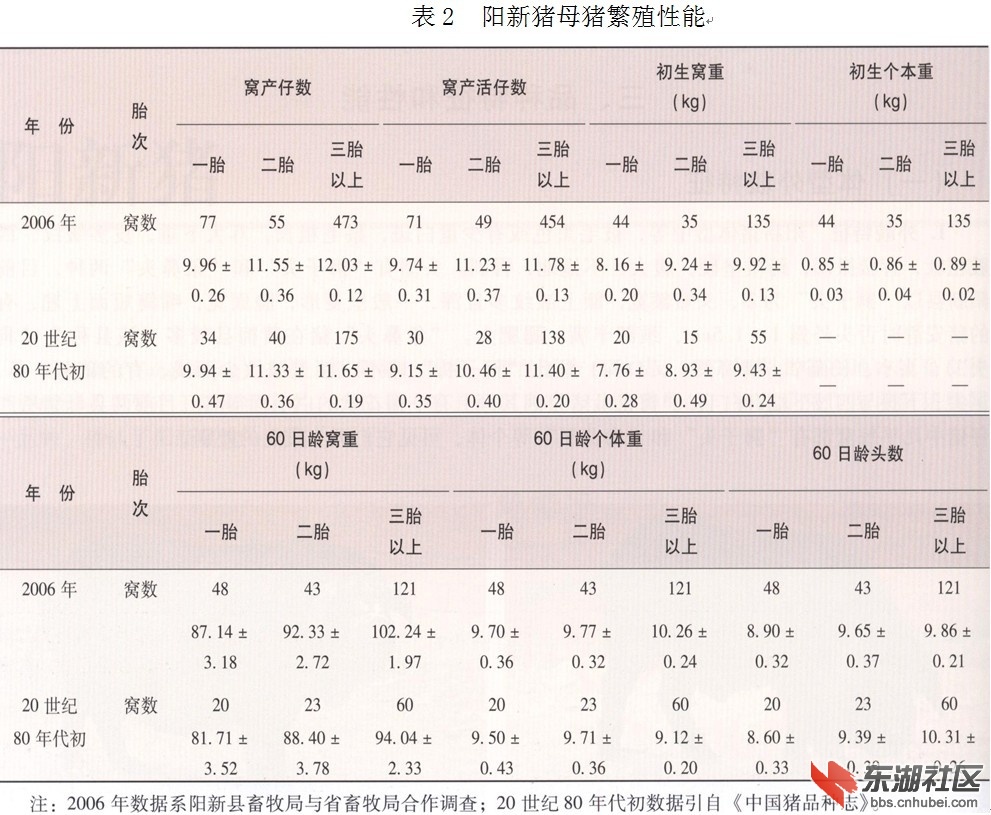 1351054121DHAPC1HT.jpg
