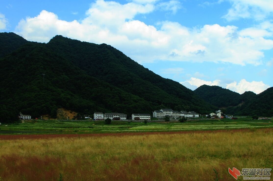 大九湖6.jpg