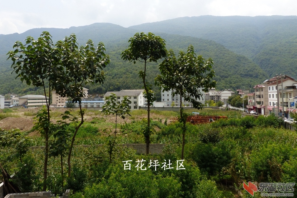 圈地照片16.jpg