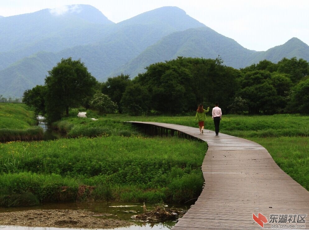 QQ图片20150813234615.jpg