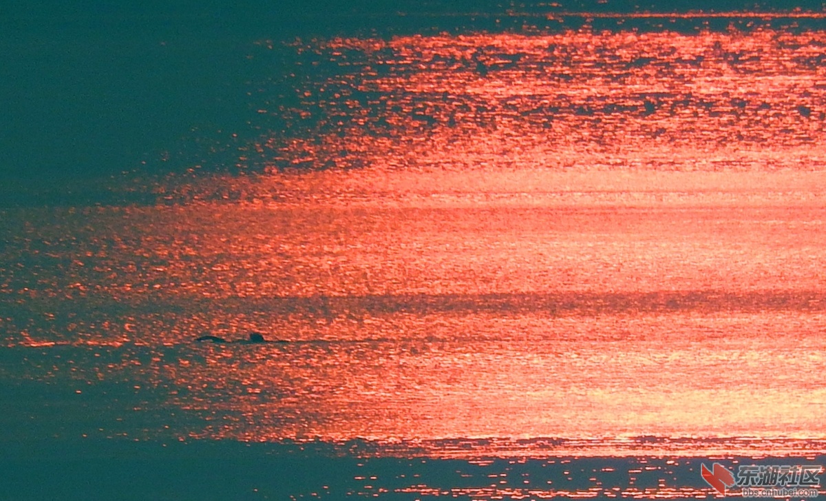 DSCF6205_副本.jpg