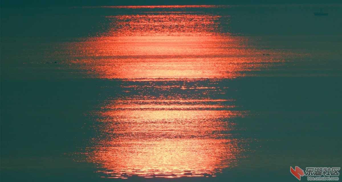 DSCF6208_副本.jpg