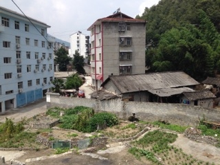 IMG_1208.jpg