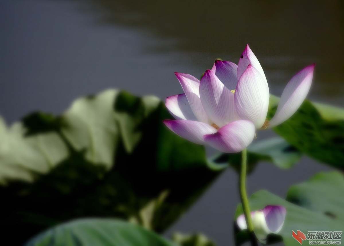 _MG_3875.jpg