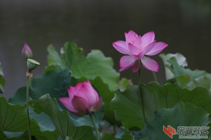 conew_照片 557.jpg