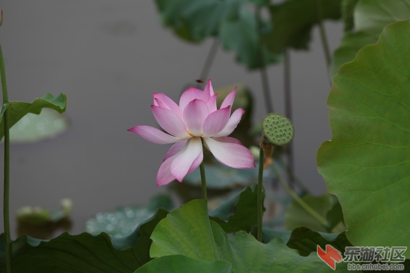 conew_照片 560.jpg