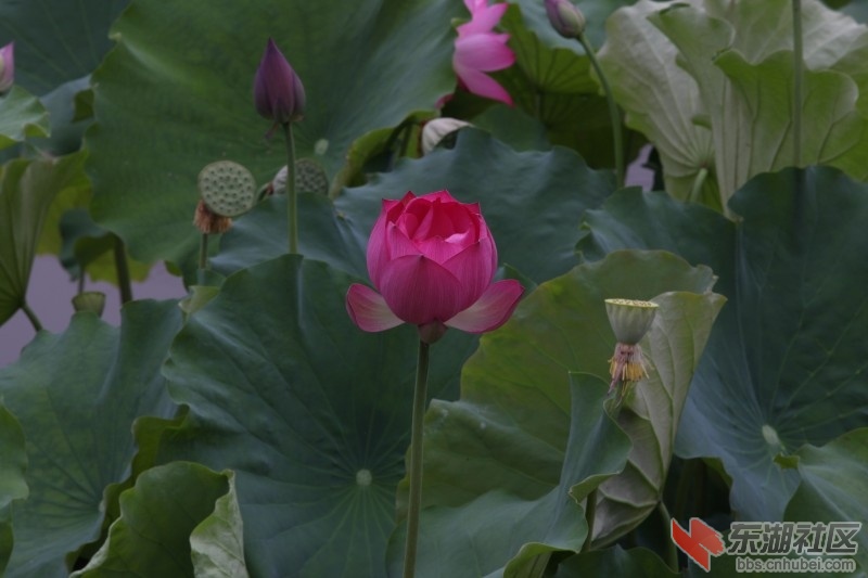 conew_照片 578.jpg