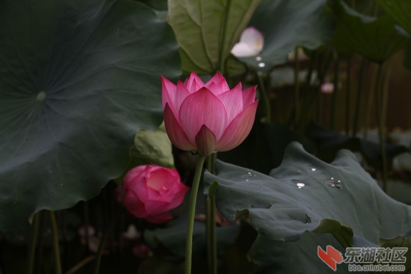 conew_照片 644.jpg