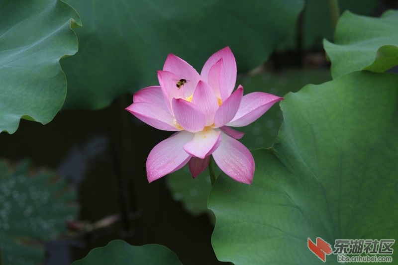 conew_照片 589.jpg