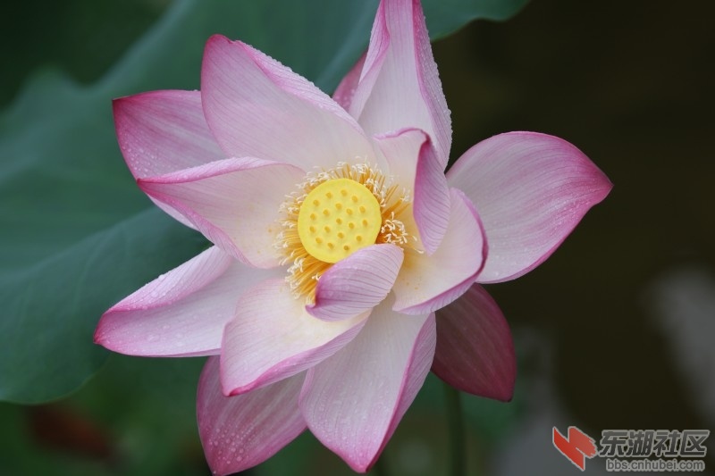 conew_照片 588.jpg