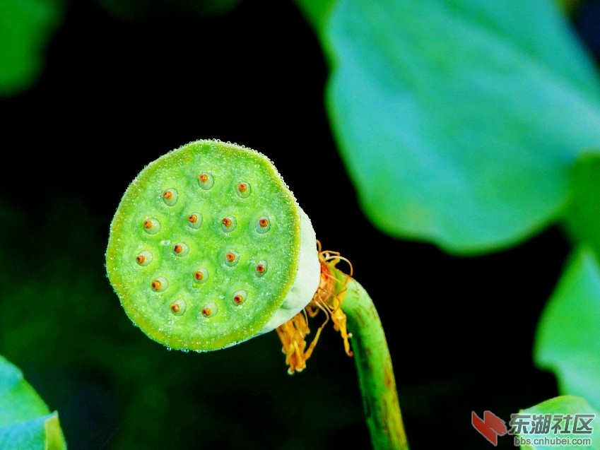 L1050300_conew1.jpg