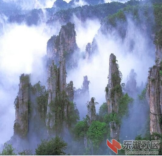 QQ图片20150816172111.jpg