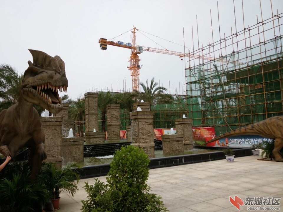 QQ图片20150817164225.jpg