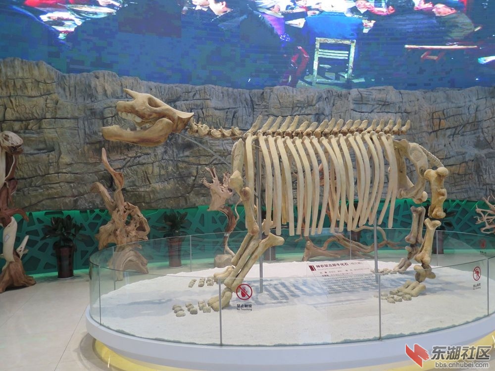门口2.jpg