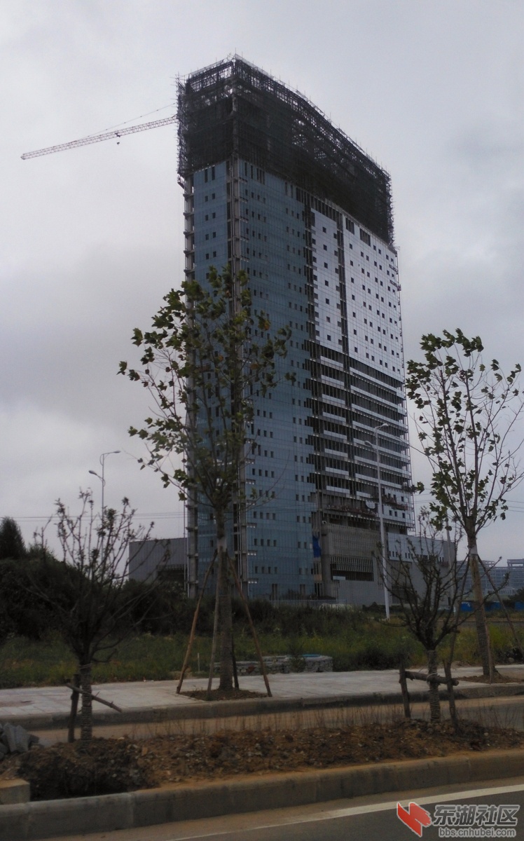 IMG_20150818_123646_副本.jpg