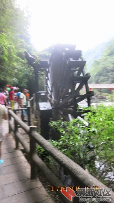 IMG_5705.JPG
