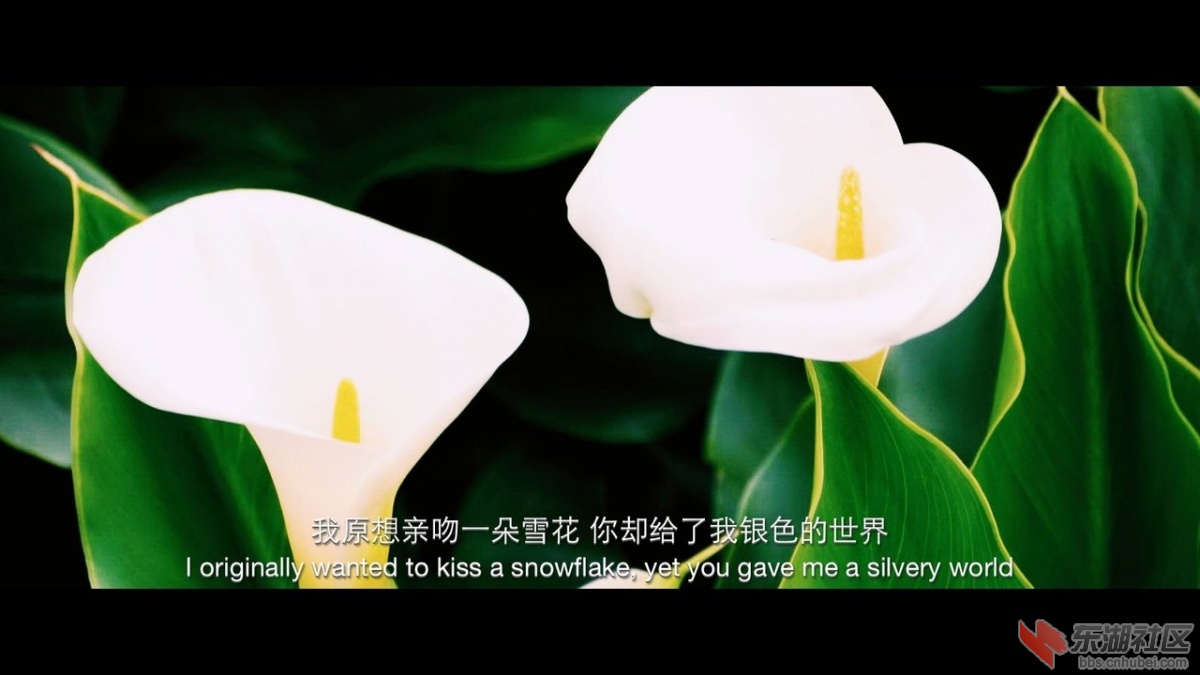 IMG1439803677520.jpg