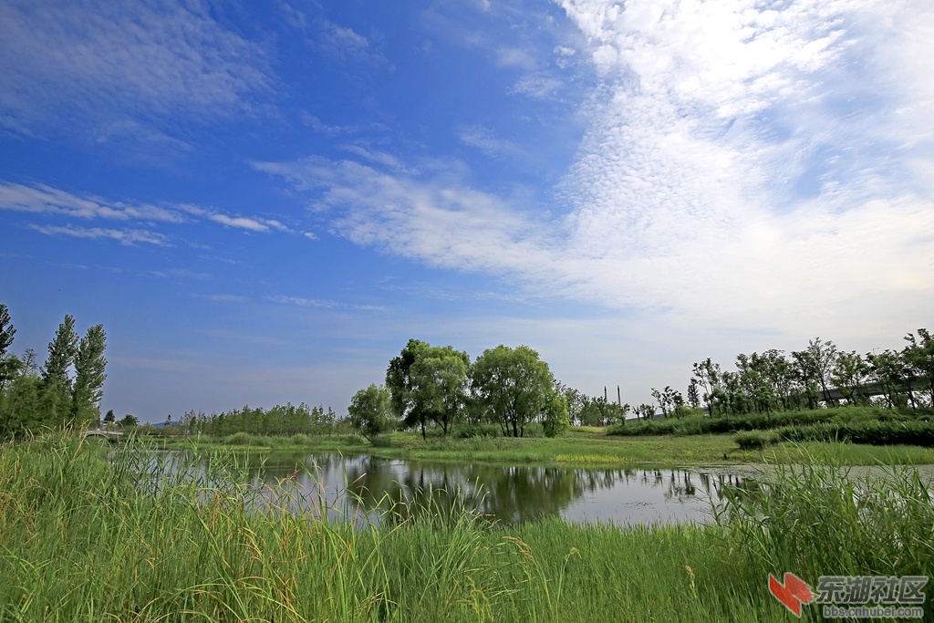 IMG_7054_副本.jpg