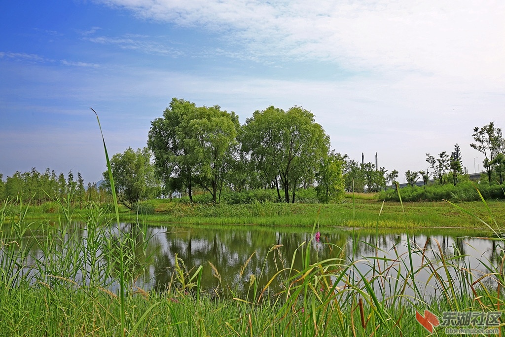 IMG_7056_副本新.jpg