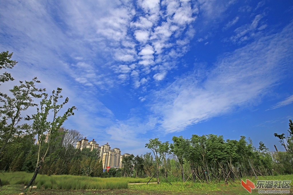 IMG_7057_副本.jpg