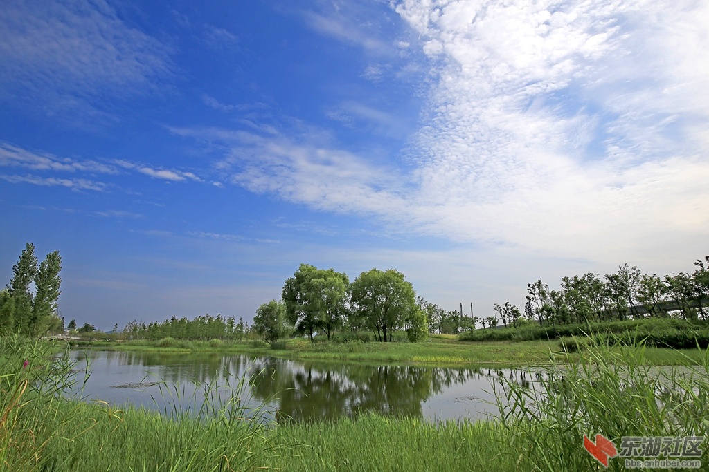 IMG_7055_副本.jpg