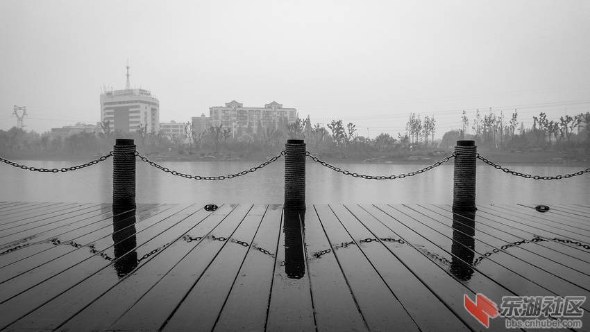 P1120124.jpg
