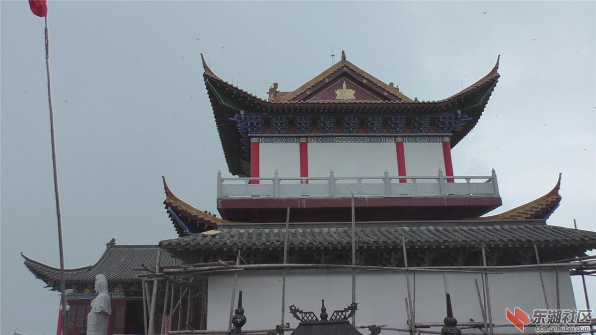 横岗山森林公园Z (7).jpg