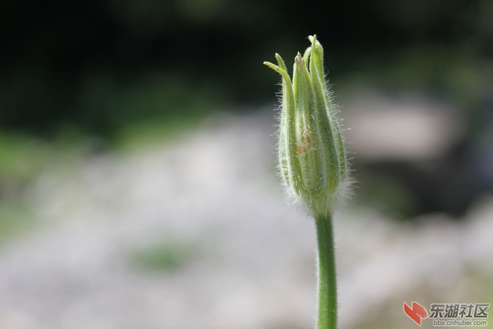 IMG_5680.JPG