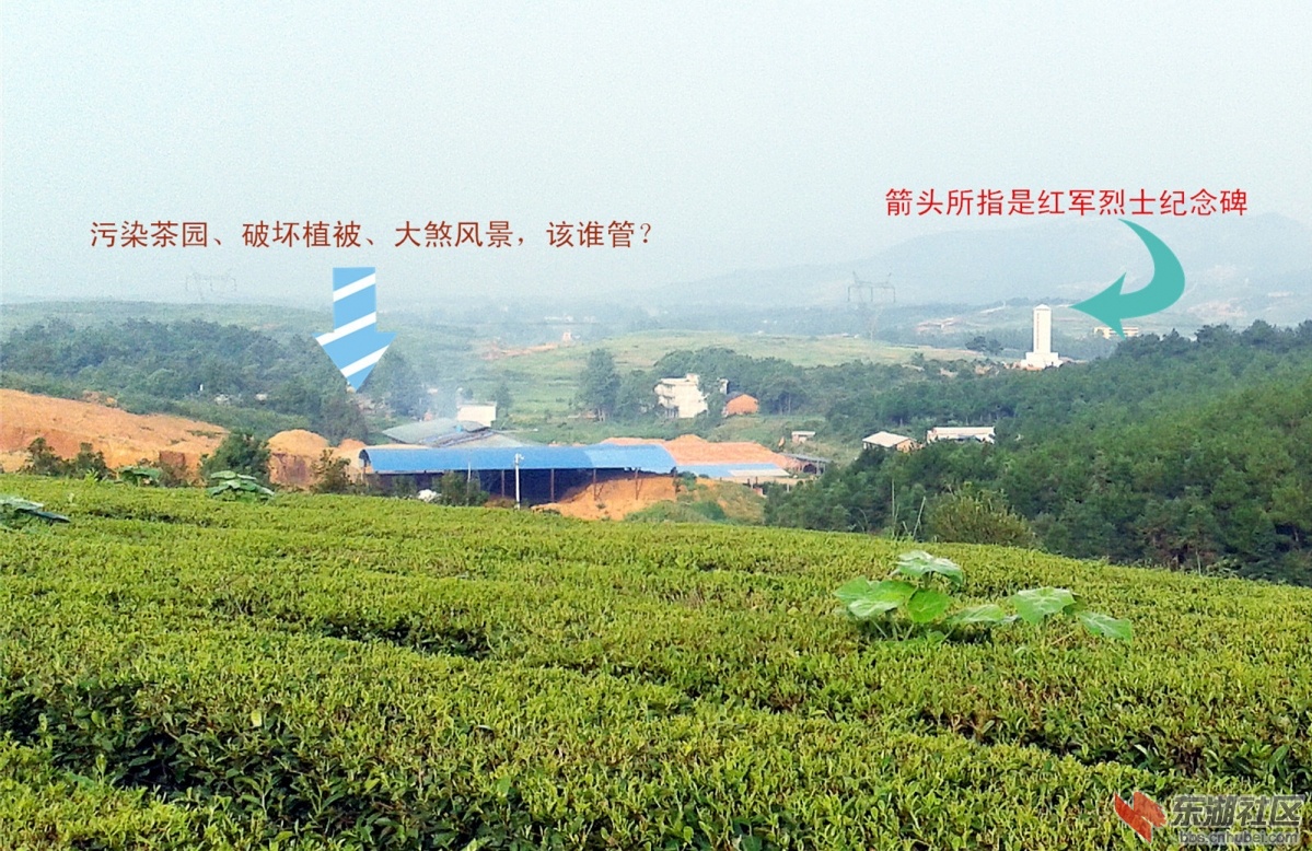 红军烈士墓林景区12__.jpg