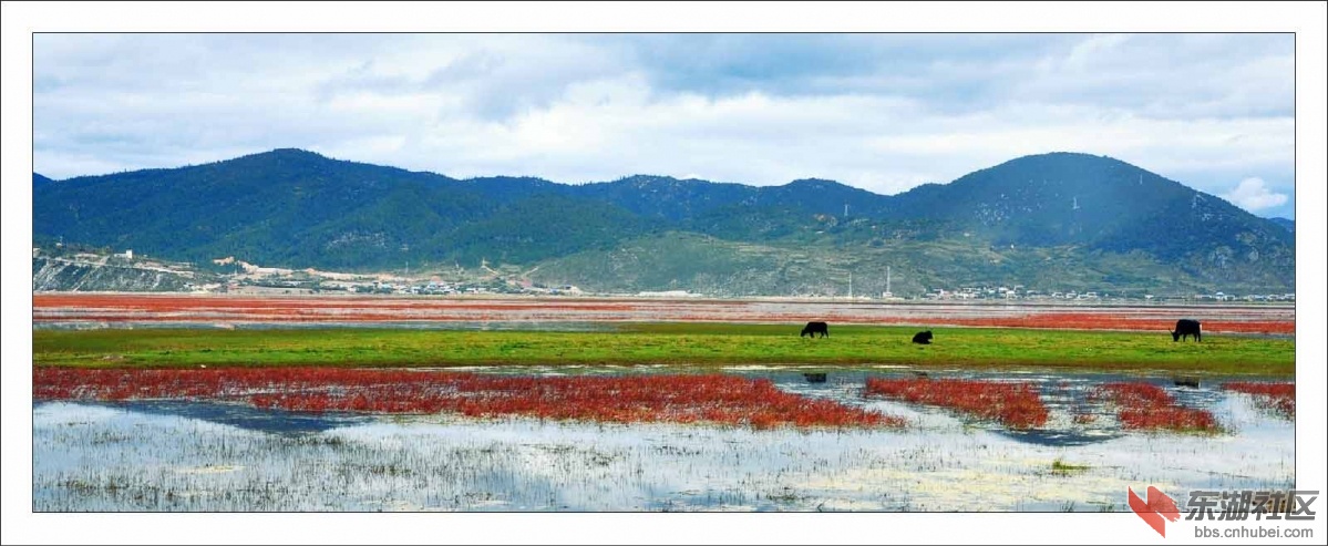 纳帕海2.jpg