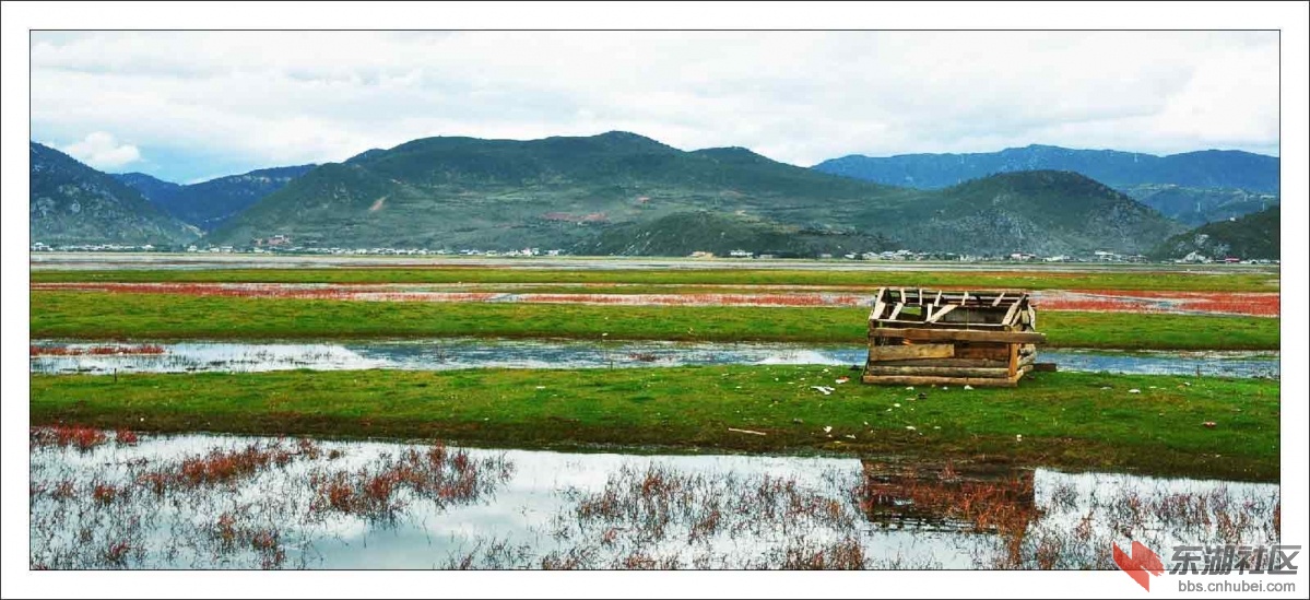 纳帕海87.jpg