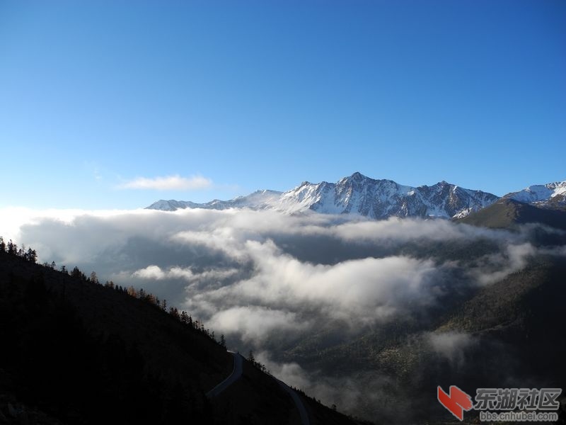 10月白马雪山7.jpg
