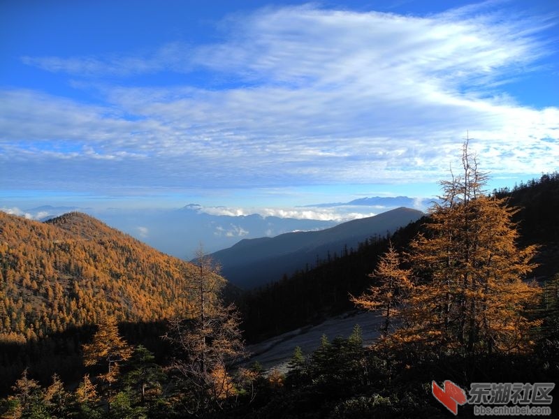 10月白马雪山10.jpg