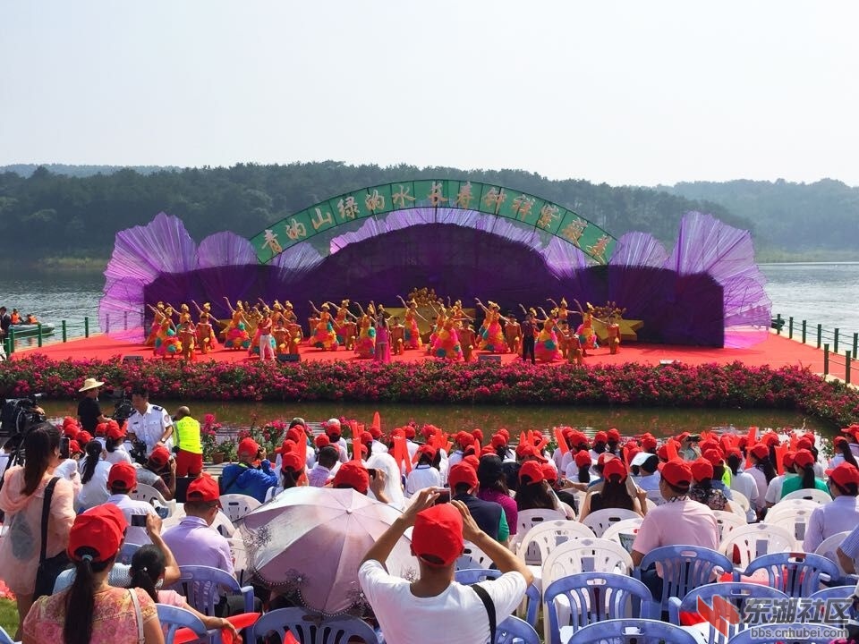 QQ图片20150825110028.jpg