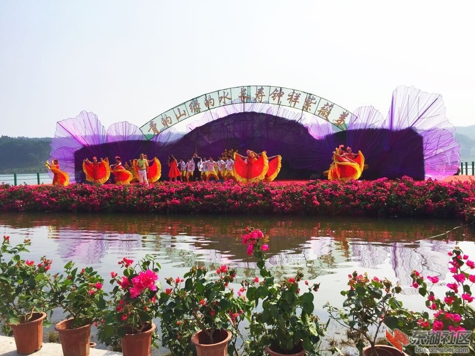 QQ图片20150825105944.jpg