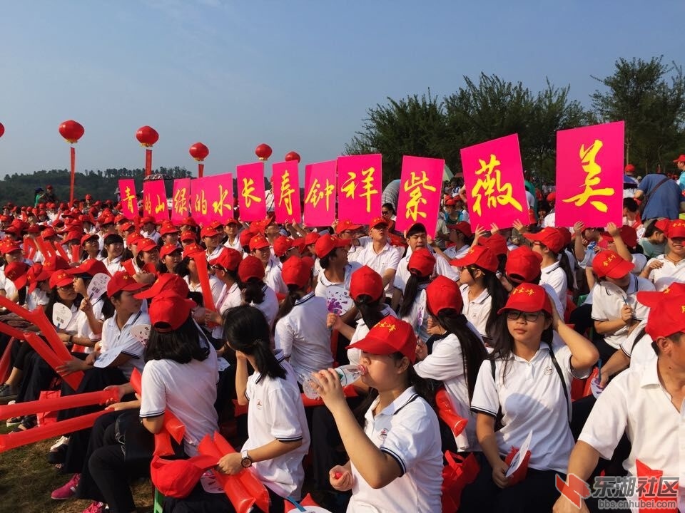 QQ图片20150825105942.jpg