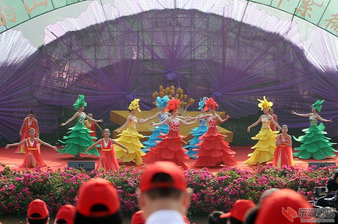 QQ图片20150825110036.jpg